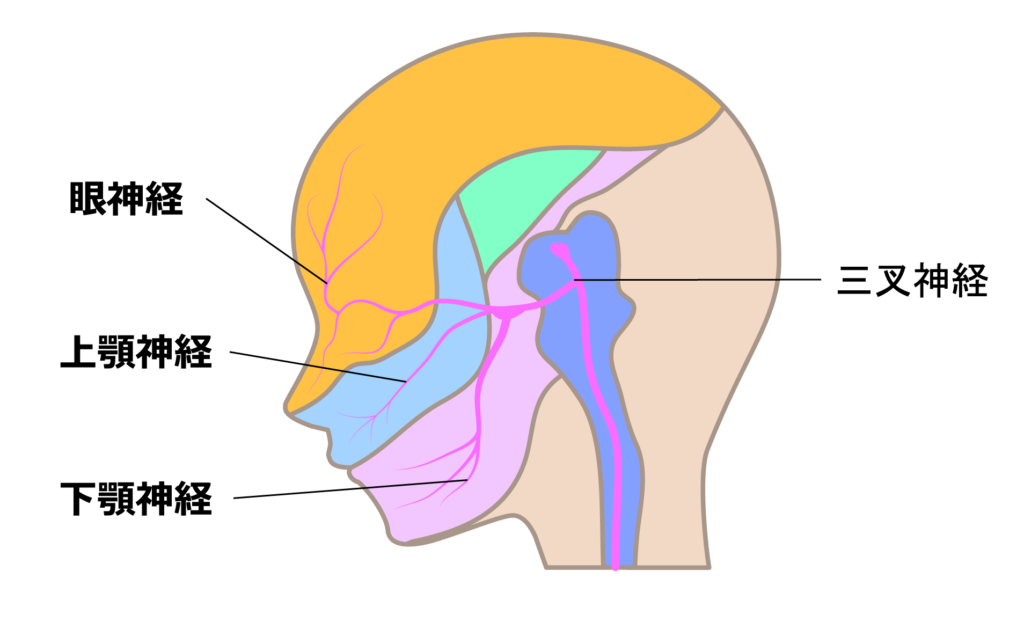 三叉神経痛